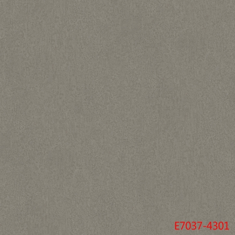 7037